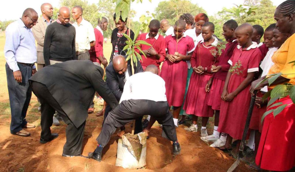 DVCs Sinoko DED Tree Planting