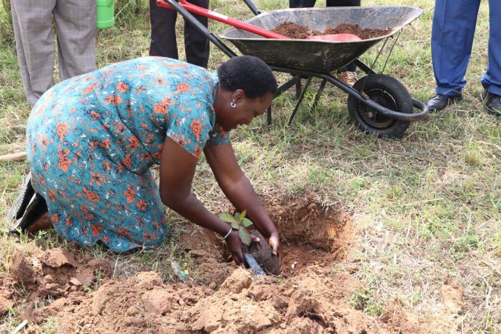 Donate-Indigenous-Trees-to-Kibabii-University_1