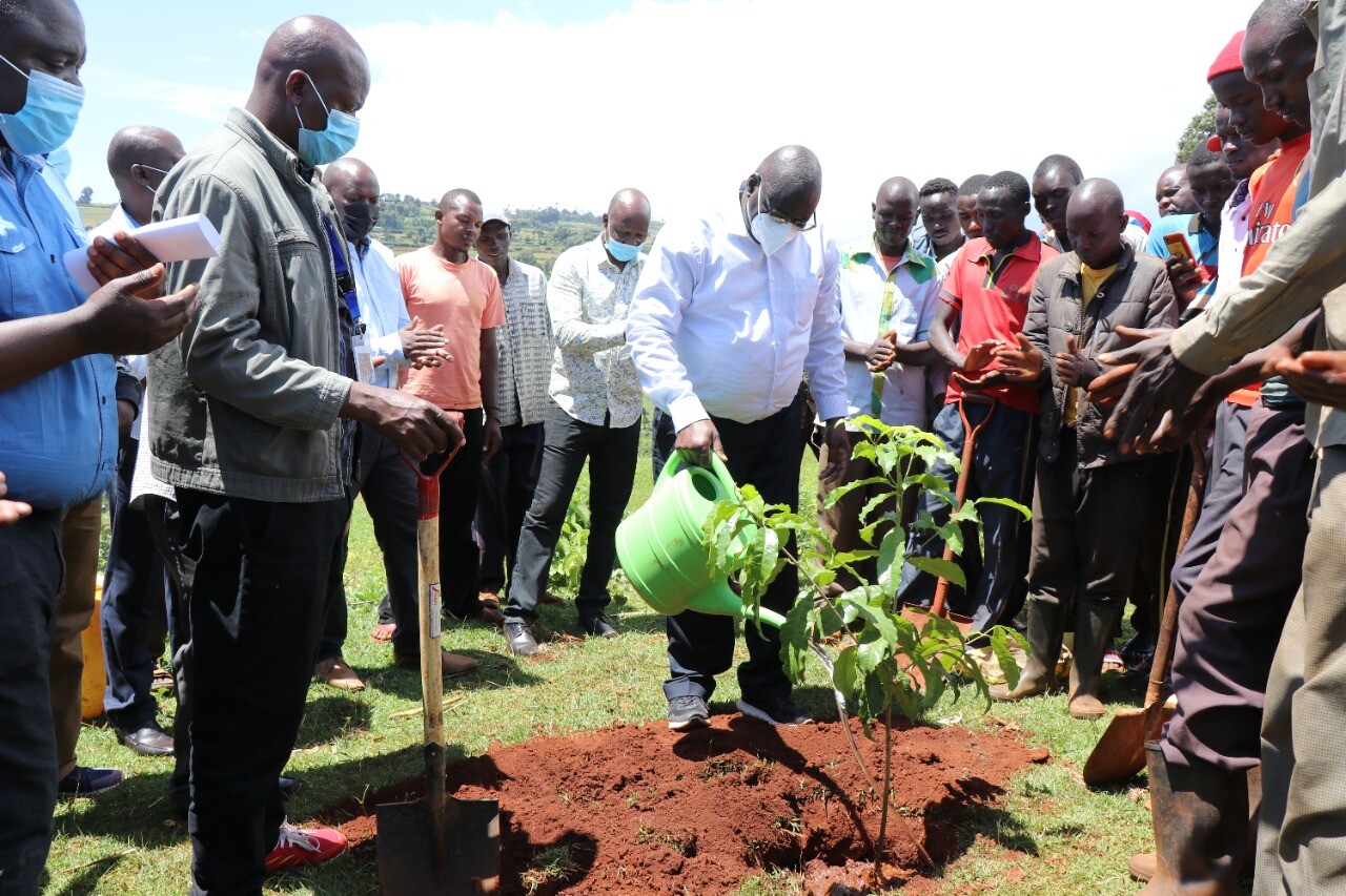 REAP-BIG-FROM-MT.-ELGON-9