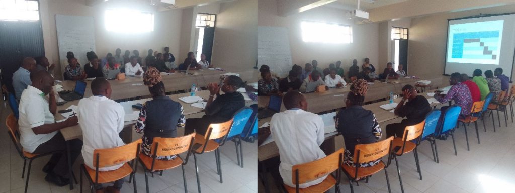 Bachelor of Science research projects