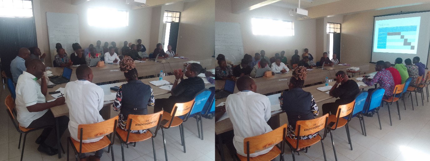 Bachelor of Science research projects