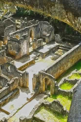 Gedi Ruins