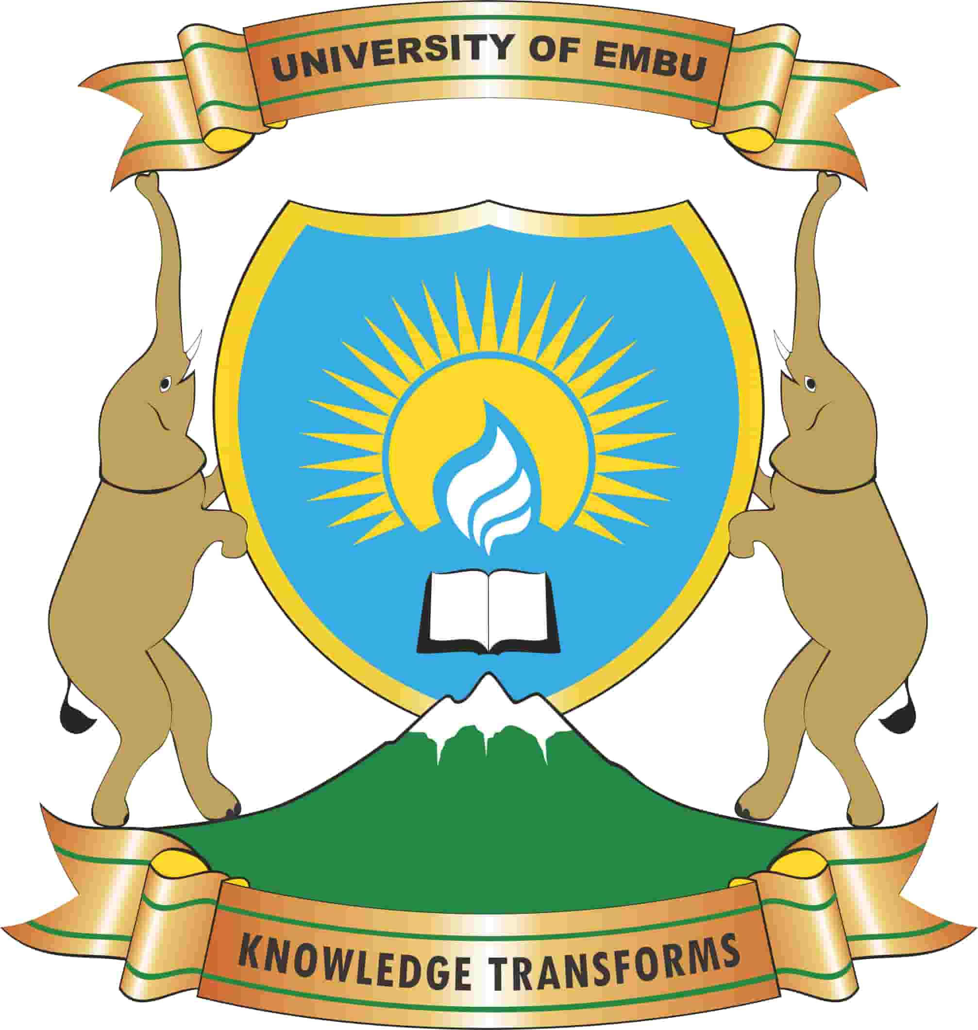 University-of-Embu-Logo